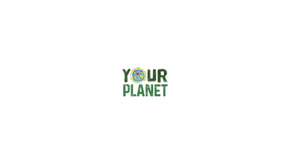 Your Planet 15cm / 6" Eco Plush Toys