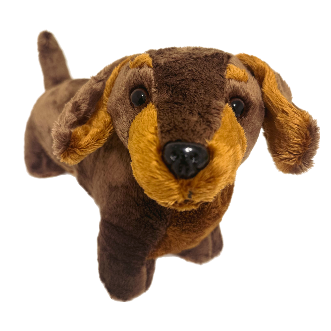 30cm Sausage Dog Dachshund Plush