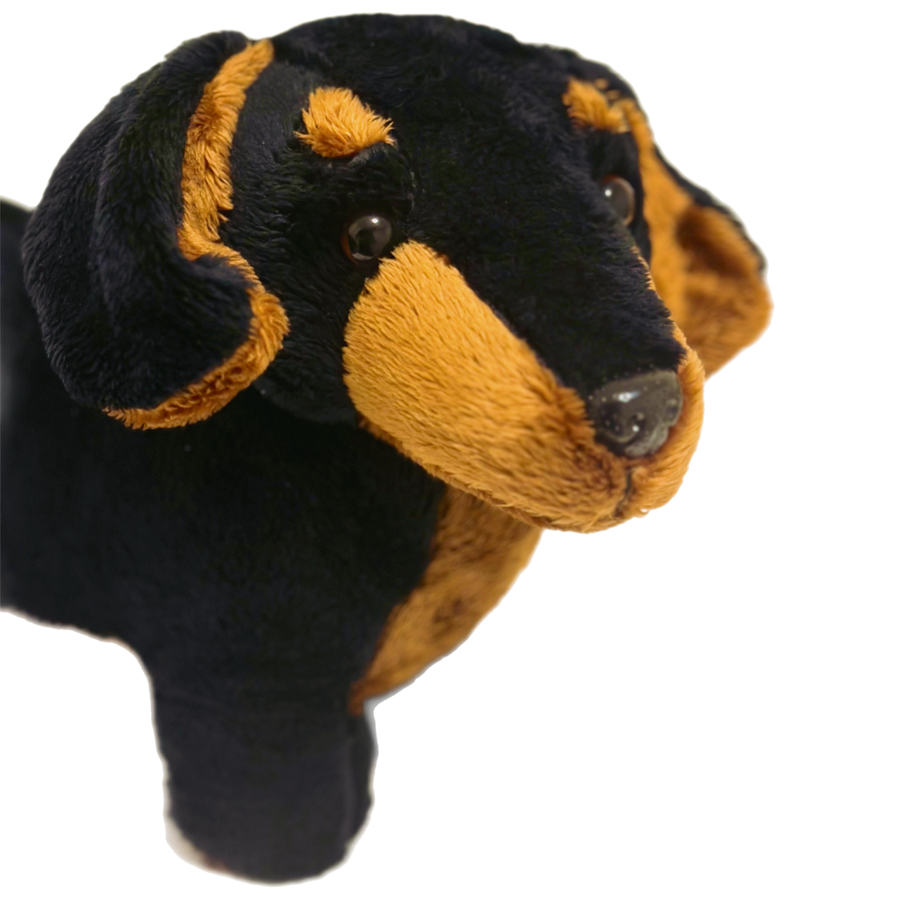 30cm Sausage Dog Dachshund Plush