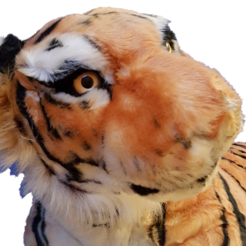 Brown Tiger Huge Giant Massive Extra Large 2m 40cm 90"